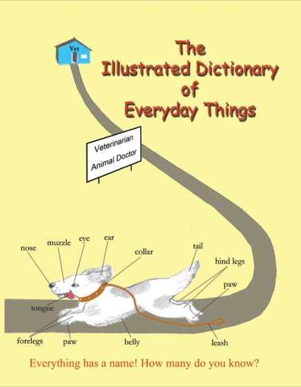 Student Dictionary - Grades 1 - 5 